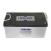 Lifeline GPL-4DA - 12 Volt - 210Ah - 1100CCA - DUAL Marine Starting/Cycling AGM Battery (GPL-4DA)